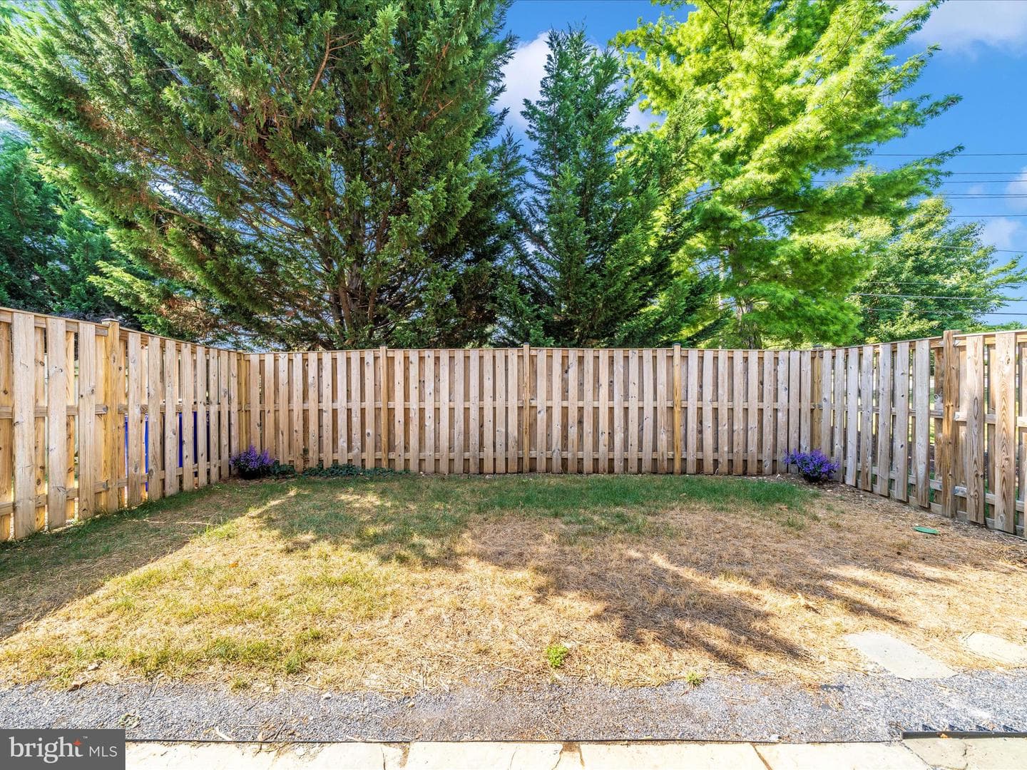 6915 Alex Court photo 42