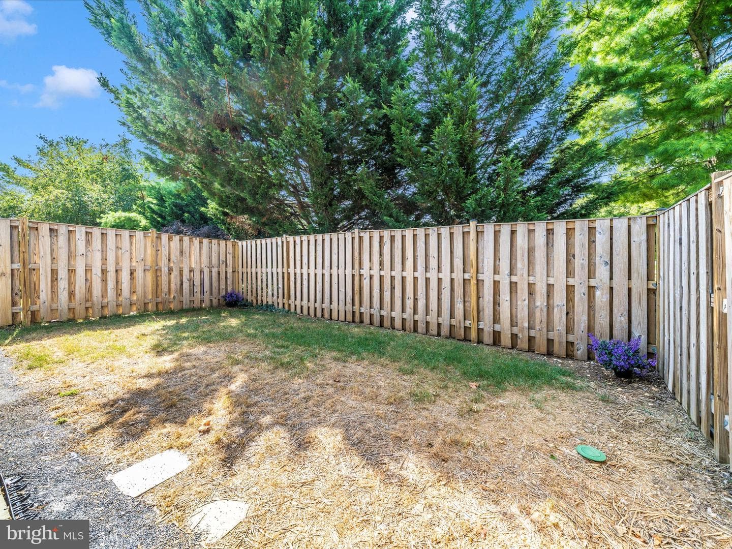 6915 Alex Court photo 43
