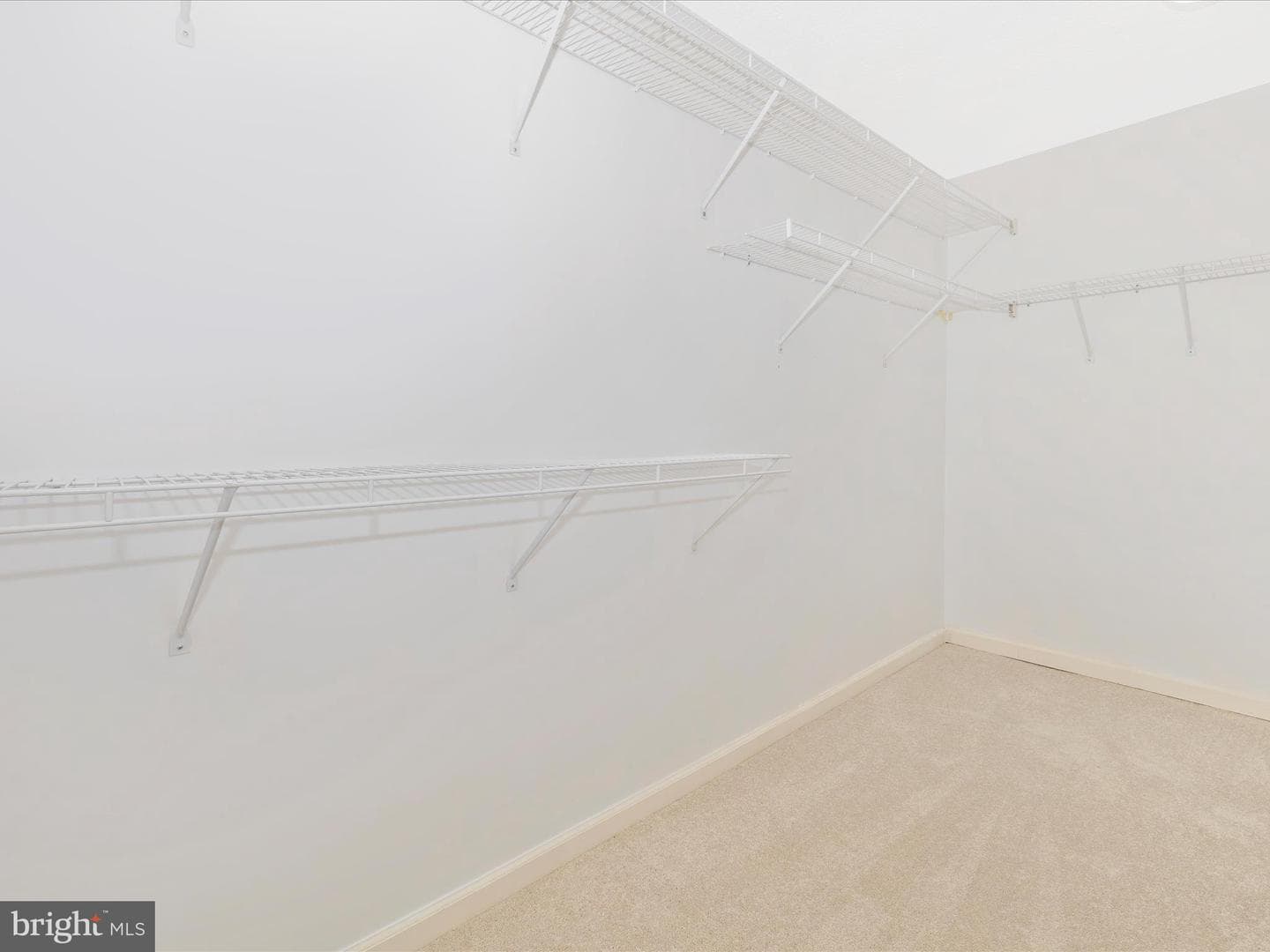 3910 Manheim Place photo 27
