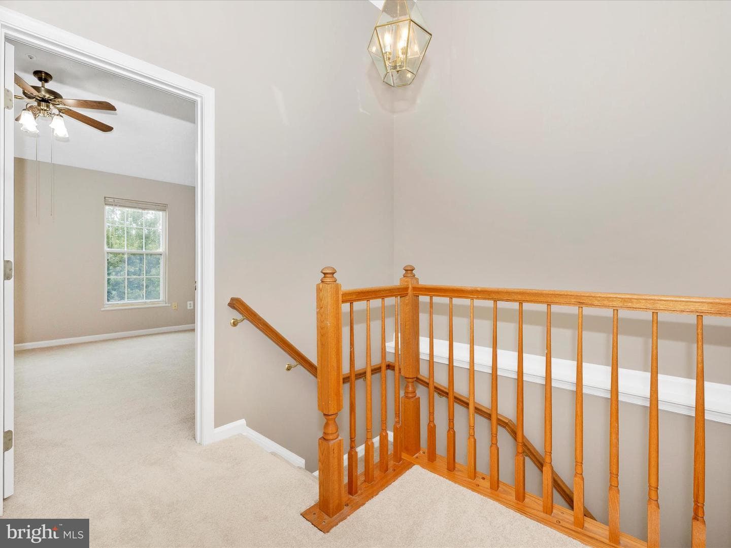 3910 Manheim Place photo 34