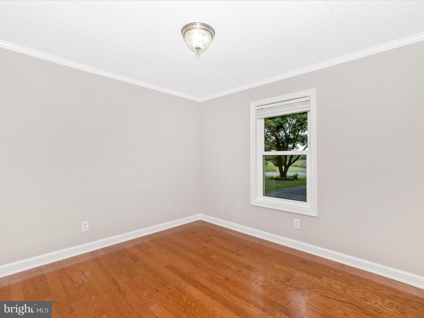 7357 Sundays Lane photo 25
