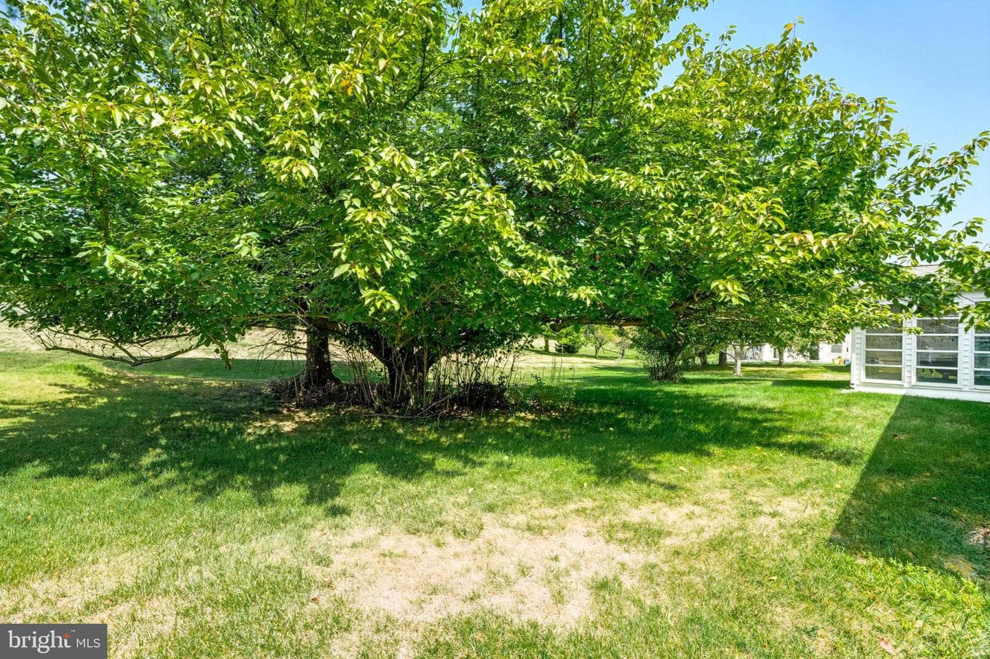 5637 Crabapple Drive photo 19