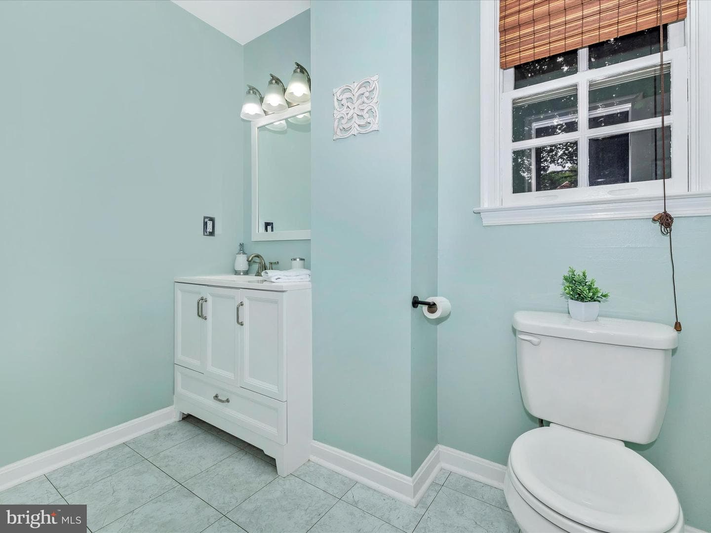 6848 Whistling Swan Way photo 28
