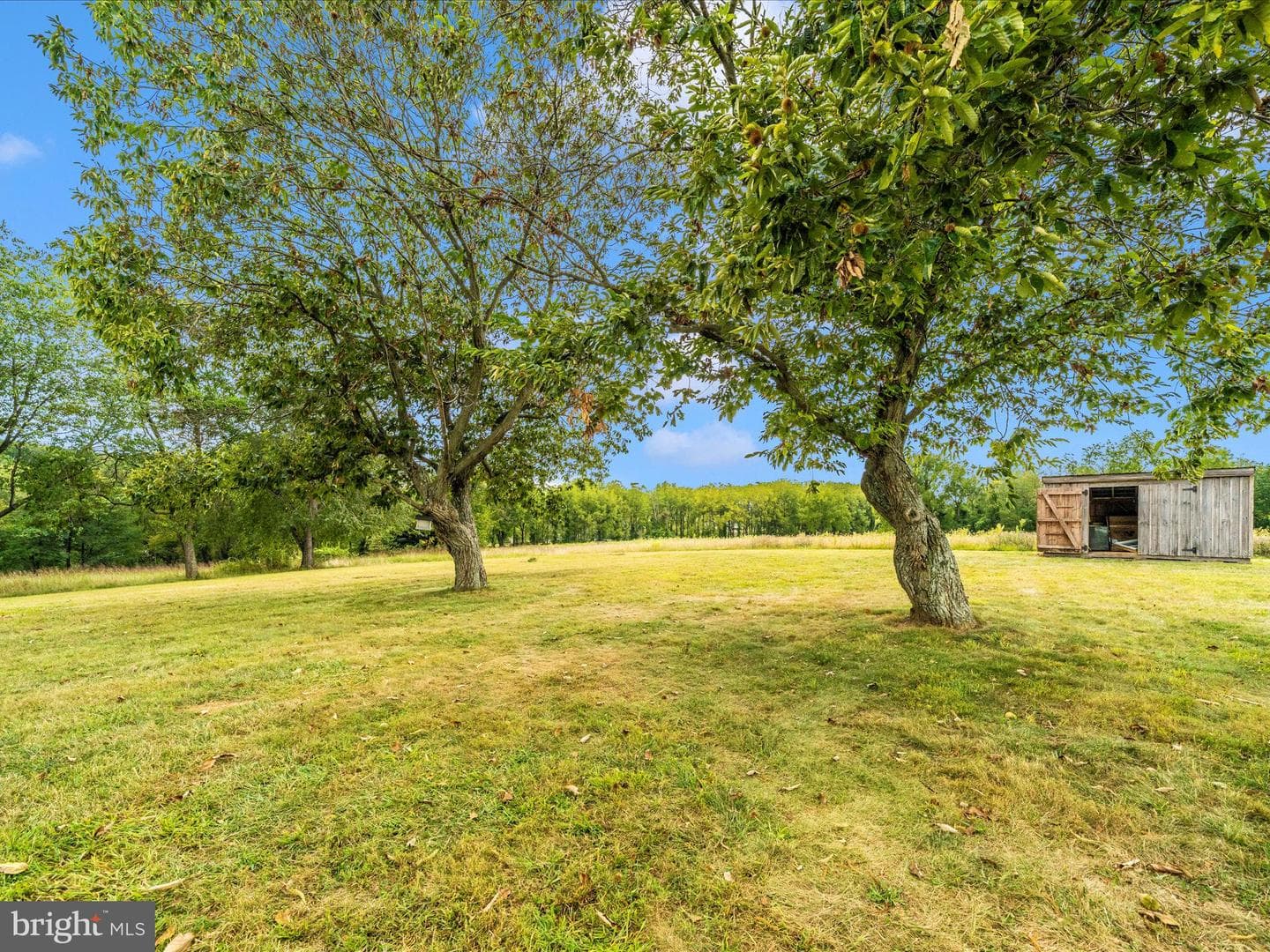 14901 New Windsor Road photo 50