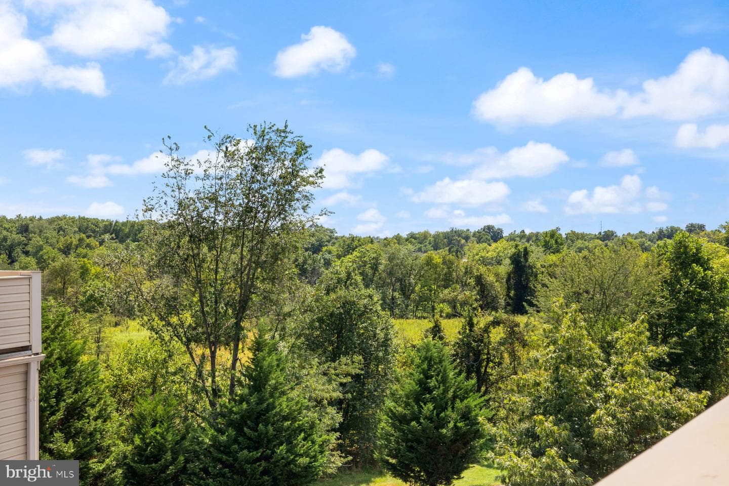 1418 Laurel Wood Way #79 photo 35