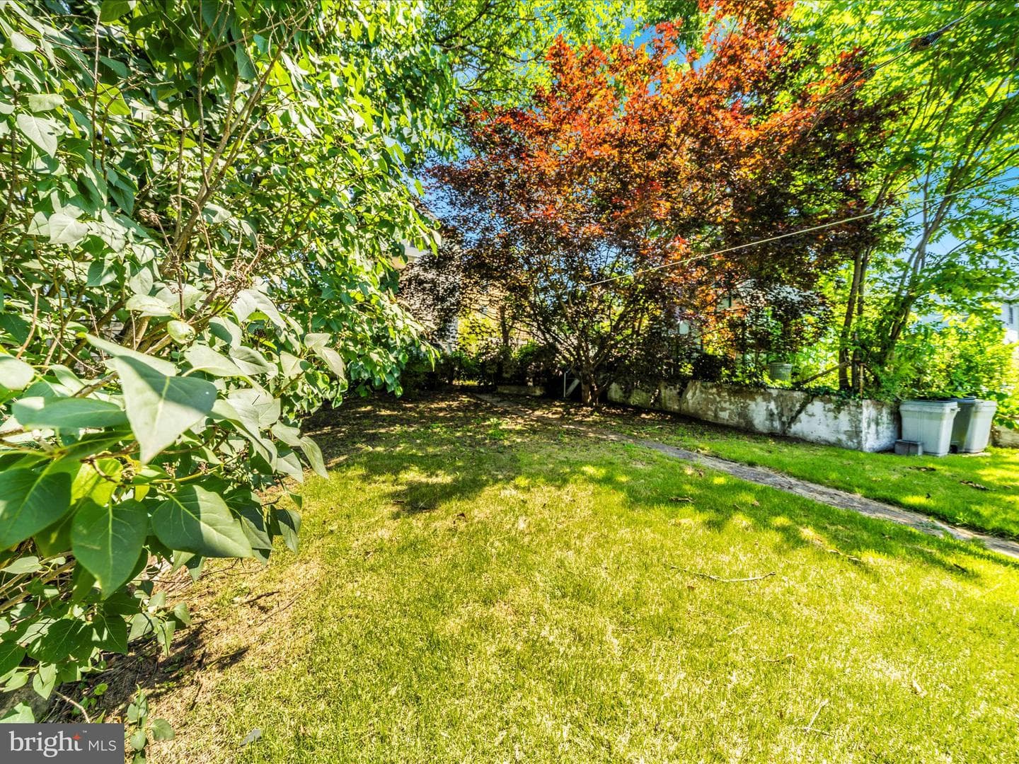 7 W B Street photo 45