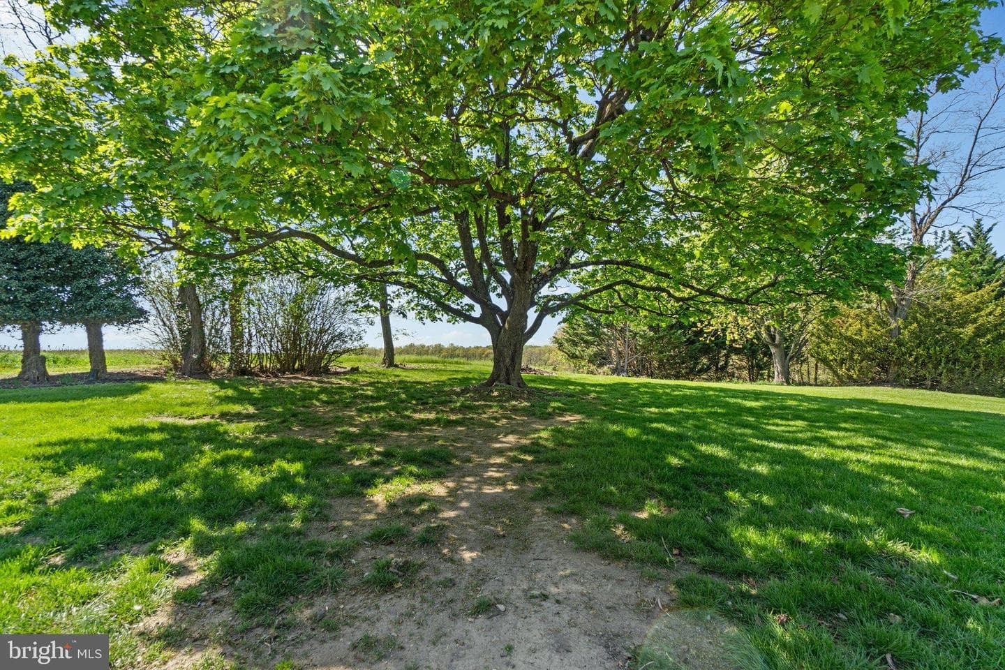 14958 New Windsor Rd photo 39