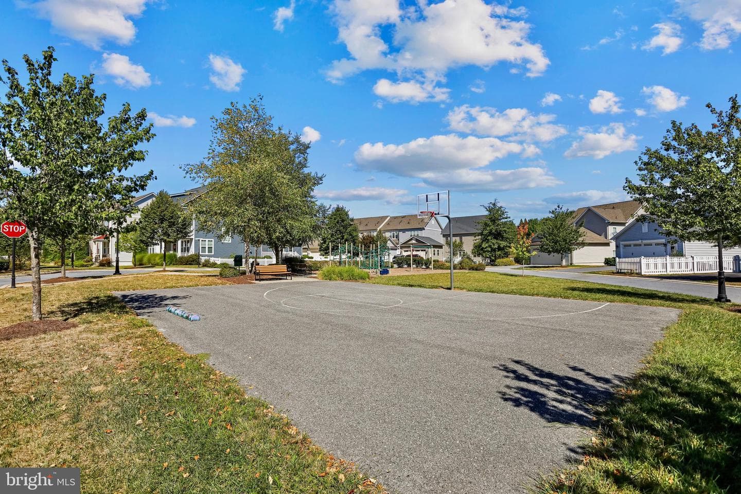 1310 Moore Spring Court photo 52