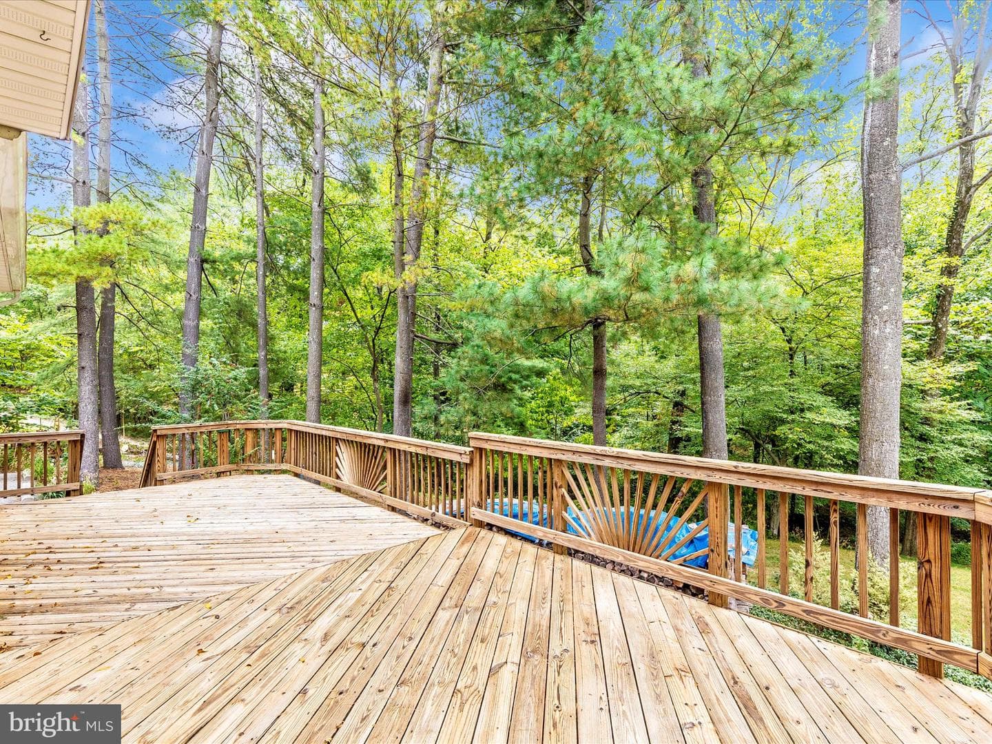 318 Copper Oaks Drive photo 42