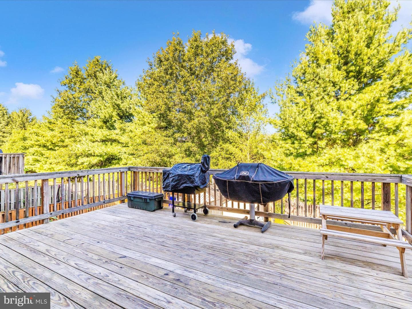 143 Fiona Way photo 15