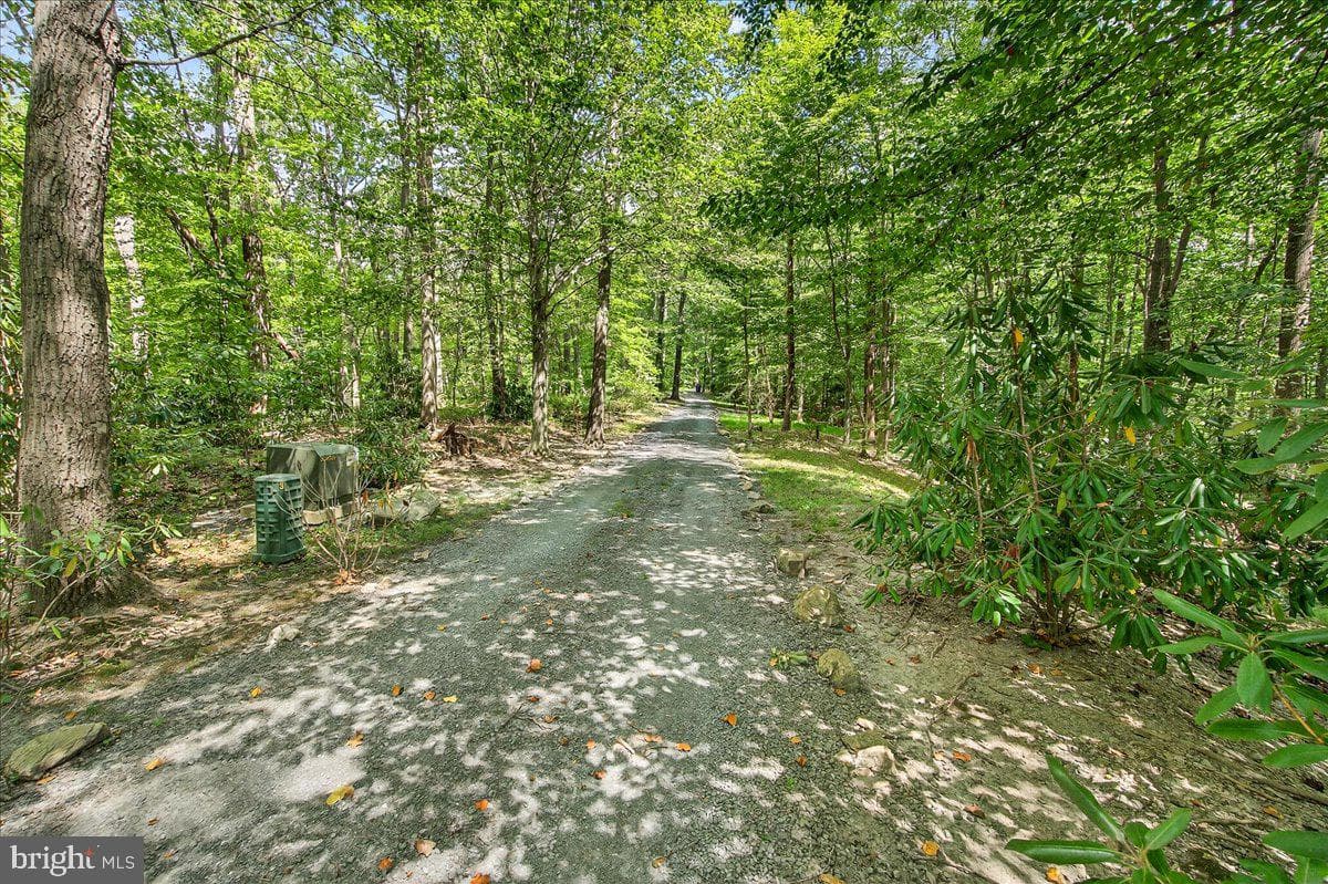 7508 Banner Road photo 76