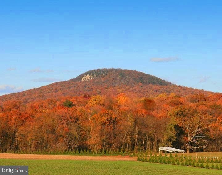 7508 Banner Road photo 78
