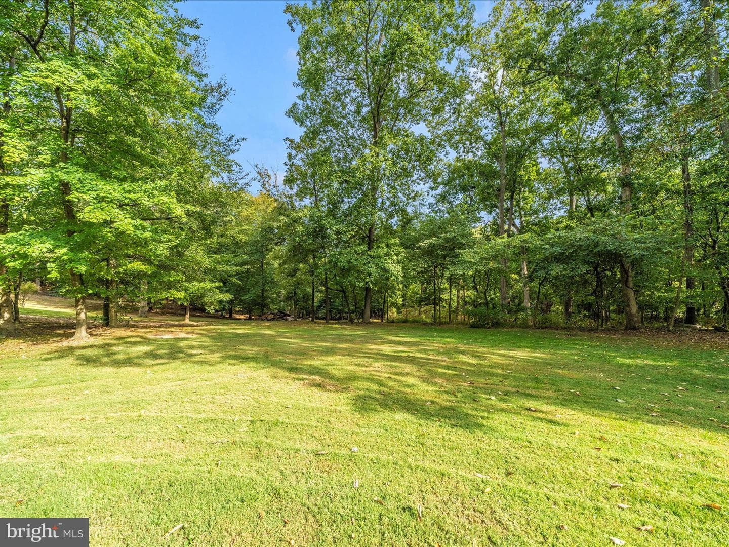 7813 Oak Leaf Court photo 35
