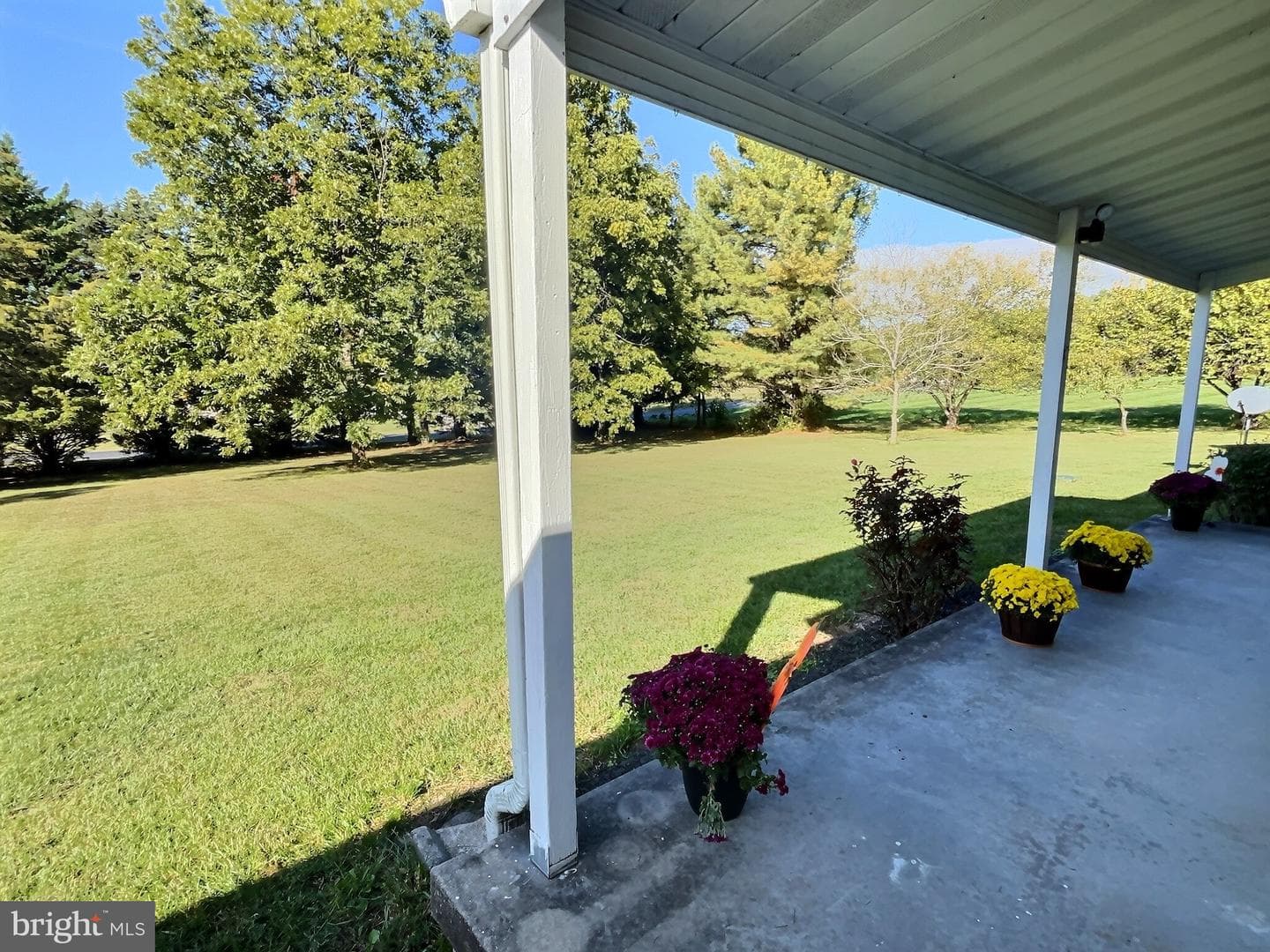 11320 Baker Road photo 3