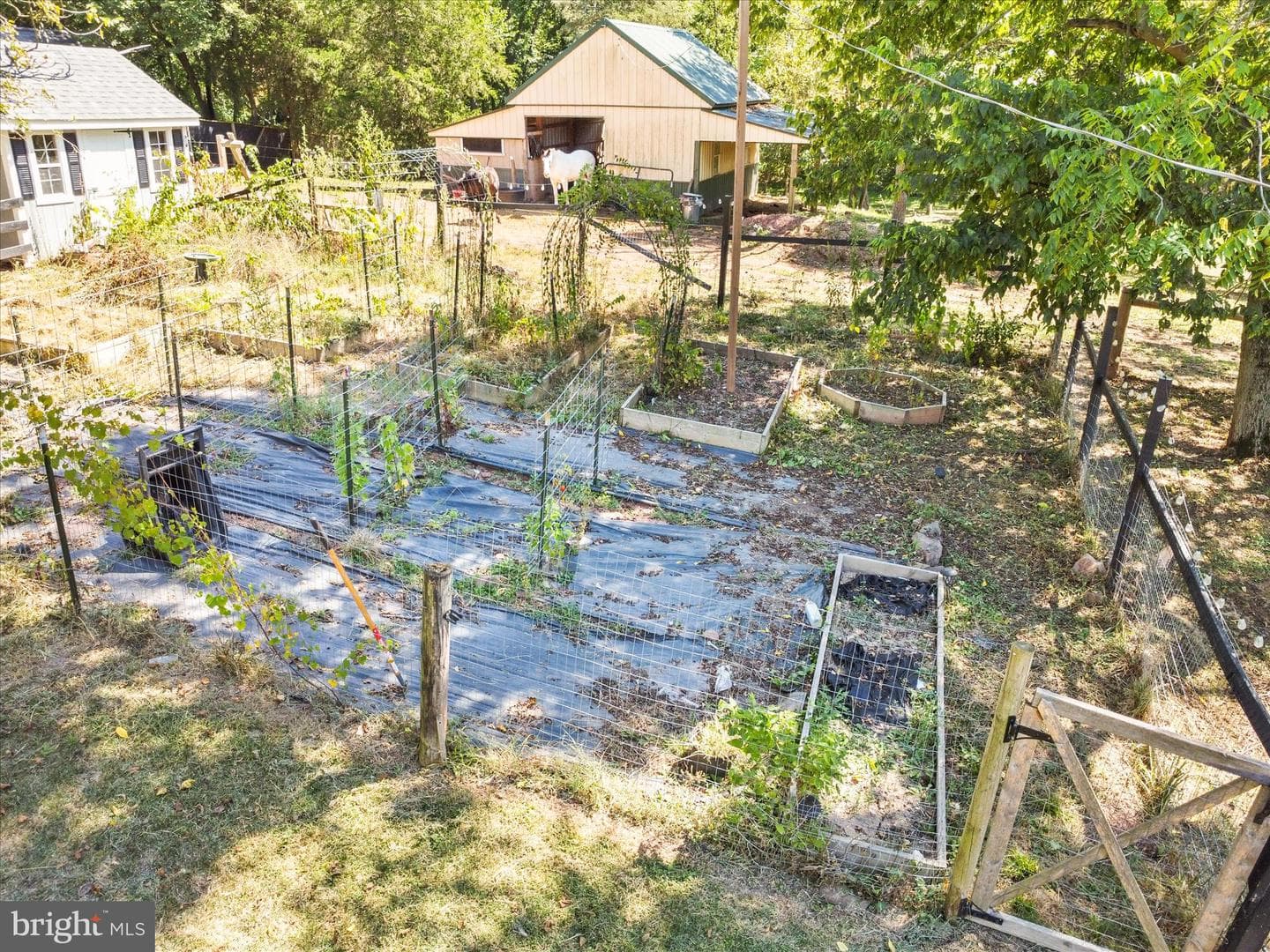 11715 Clyde Young Road photo 39