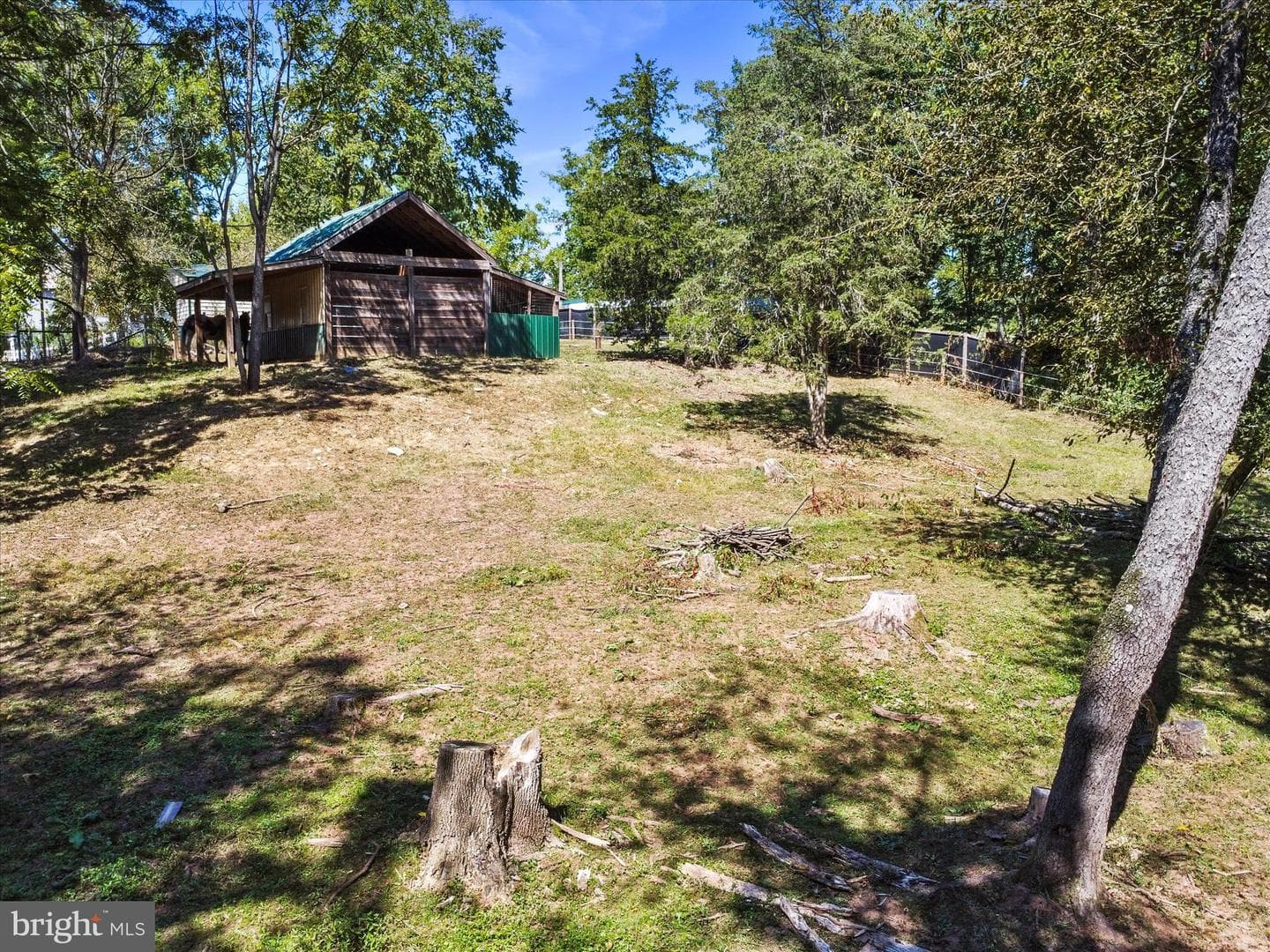 11715 Clyde Young Road photo 47