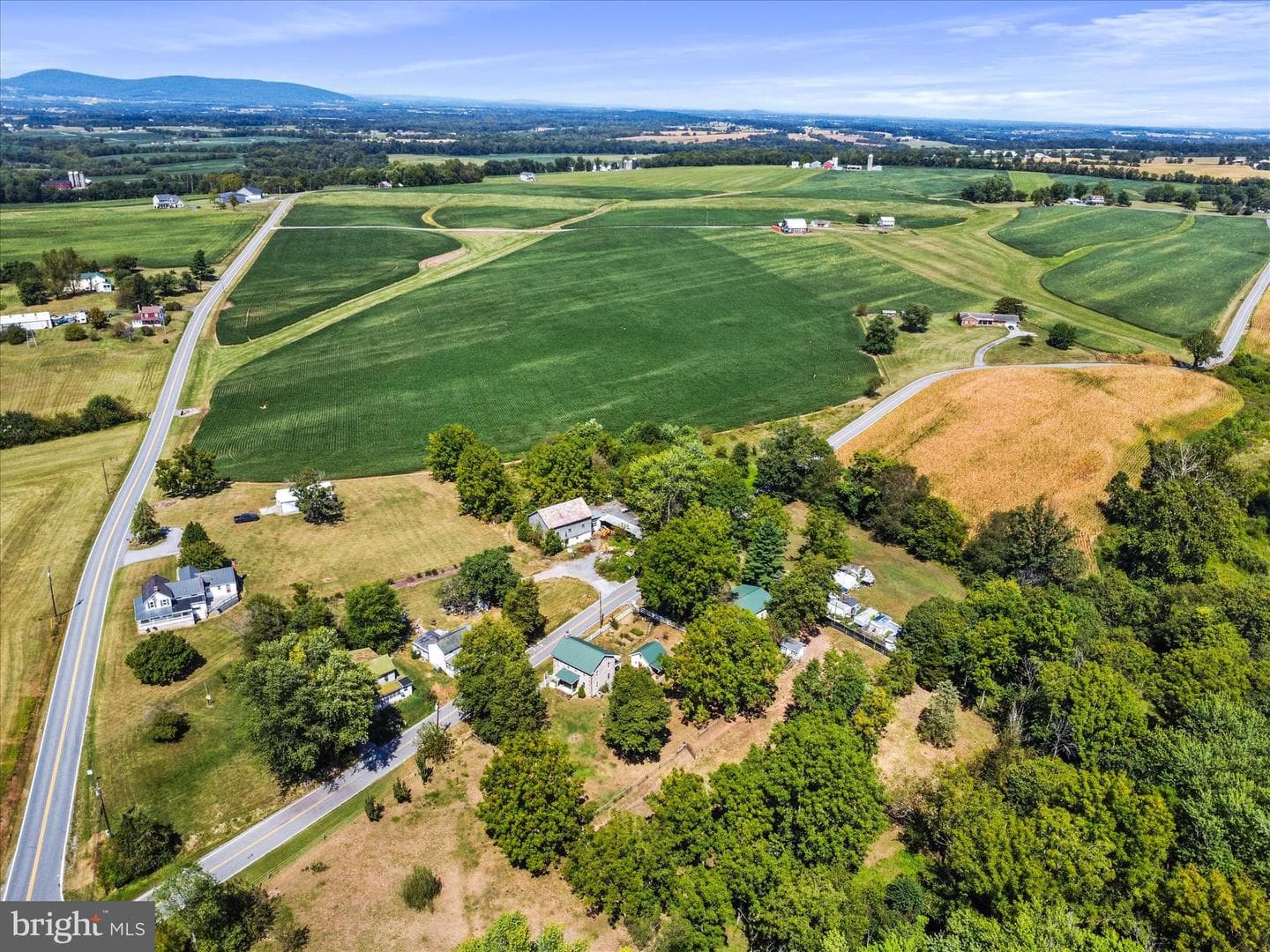 11715 Clyde Young Road photo 49