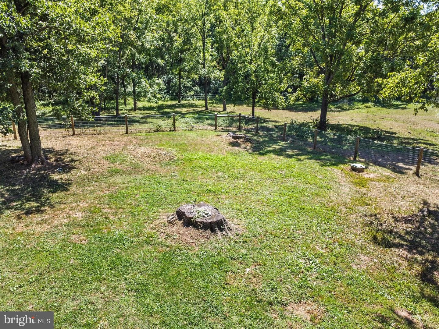 11715 Clyde Young Road photo 55