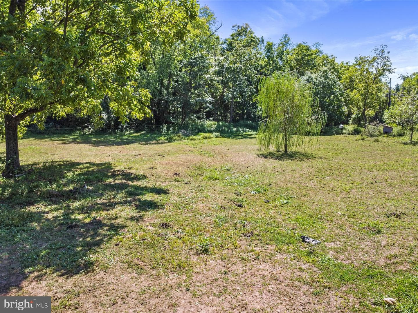 11715 Clyde Young Road photo 56