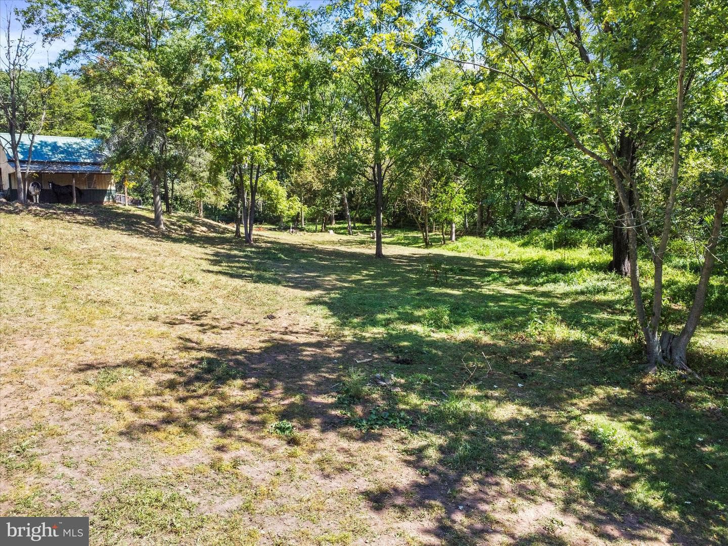 11715 Clyde Young Road photo 57