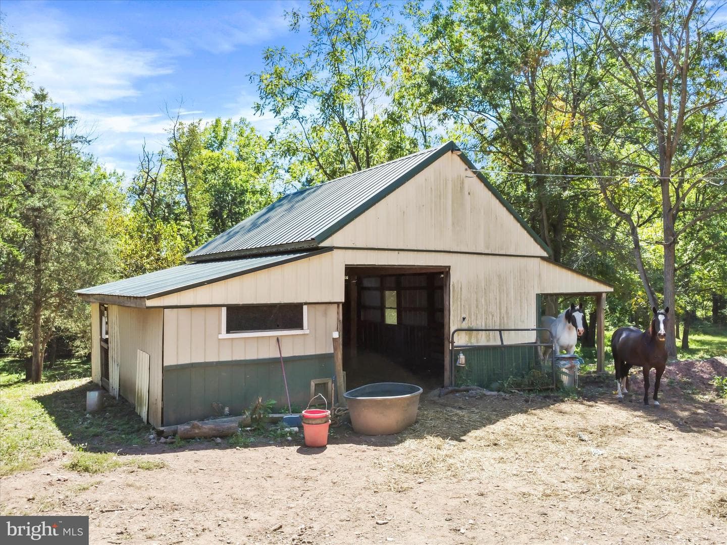 11715 Clyde Young Road photo 6