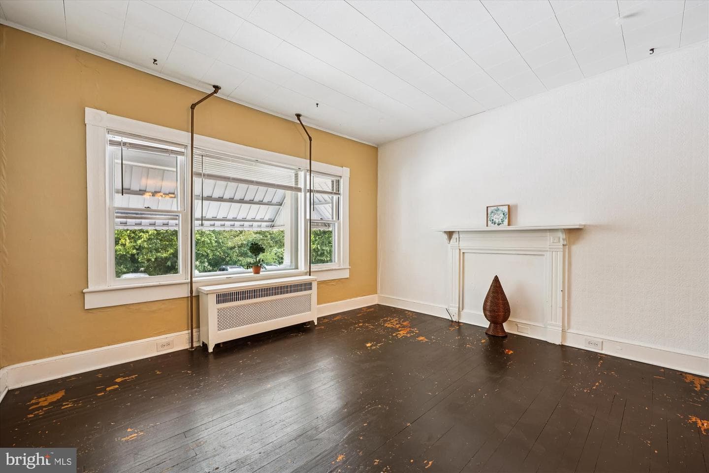 505 Potomac Street photo 4