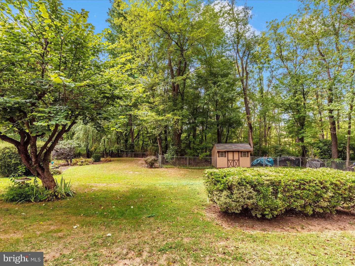 15602 Wildrose Court photo 50