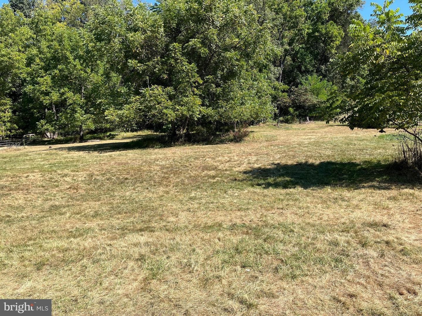 17425 Sunshine Trail photo 3