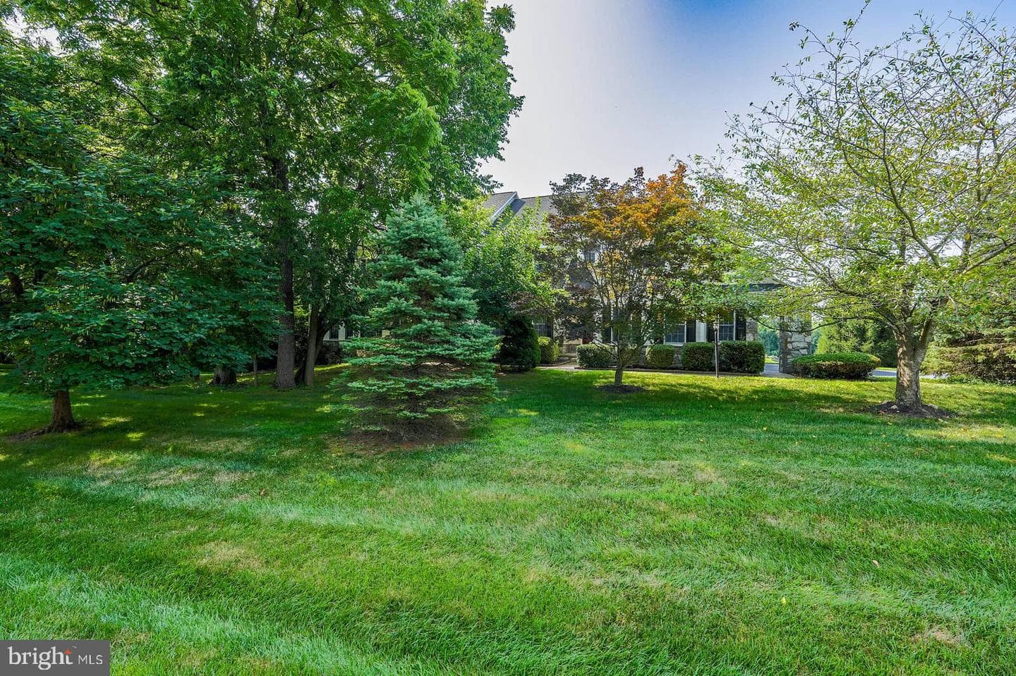 6813 Southridge Way photo 3