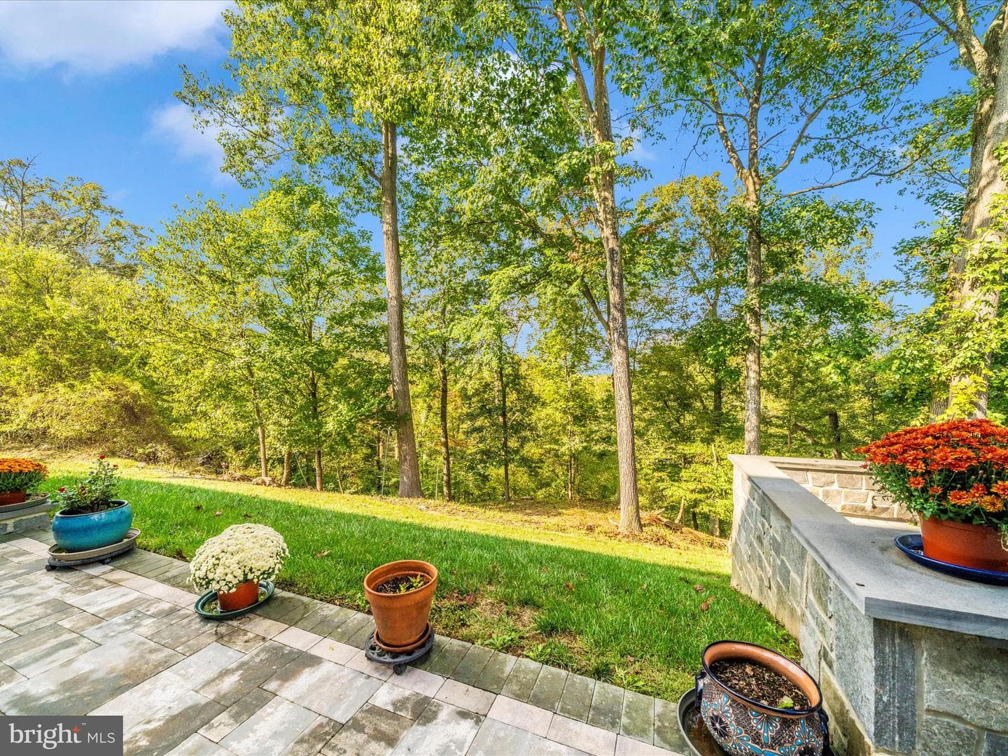 11046 Country Club Road photo 82