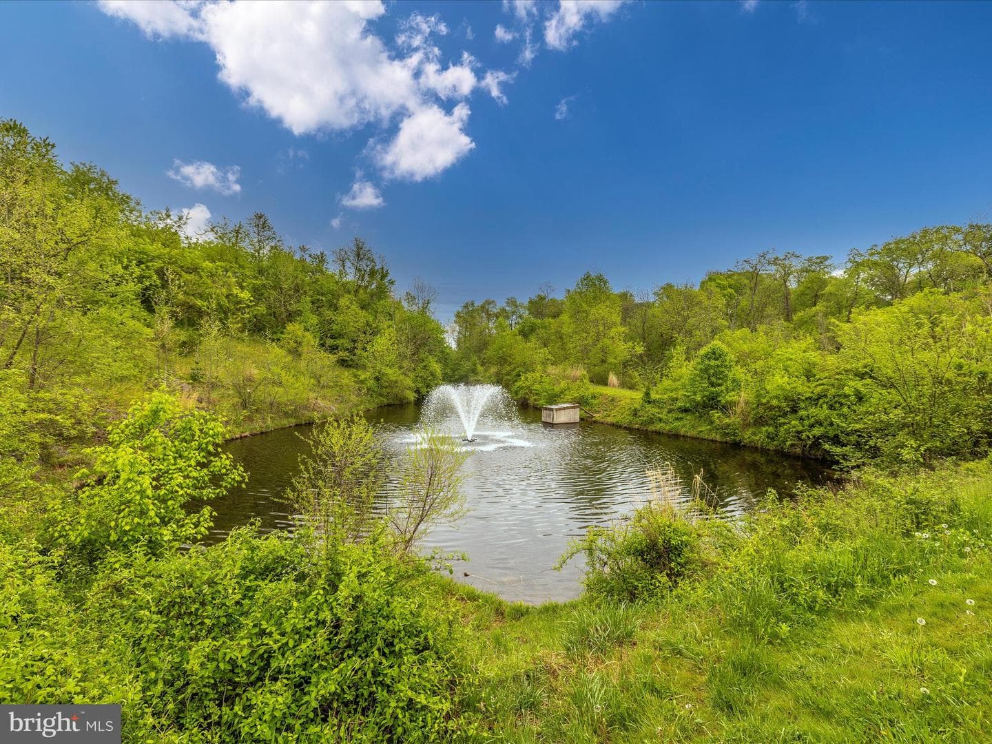 11046 Country Club Road photo 92