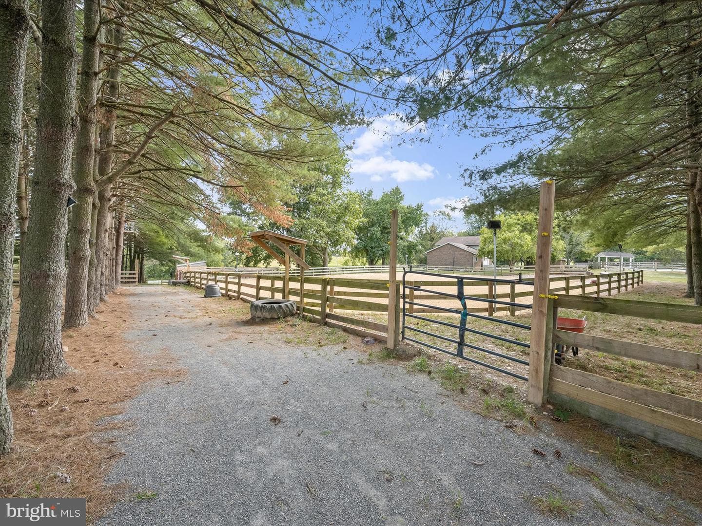10216 Fountain School Road photo 116