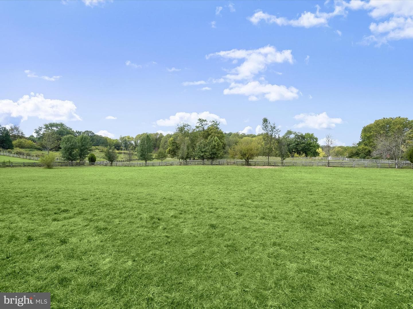 10216 Fountain School Road photo 119