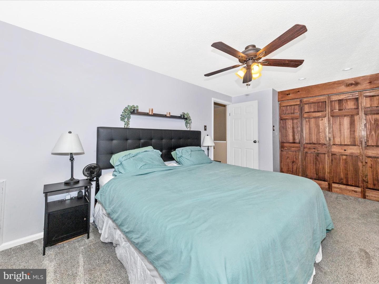 520 Riggs Court photo 18