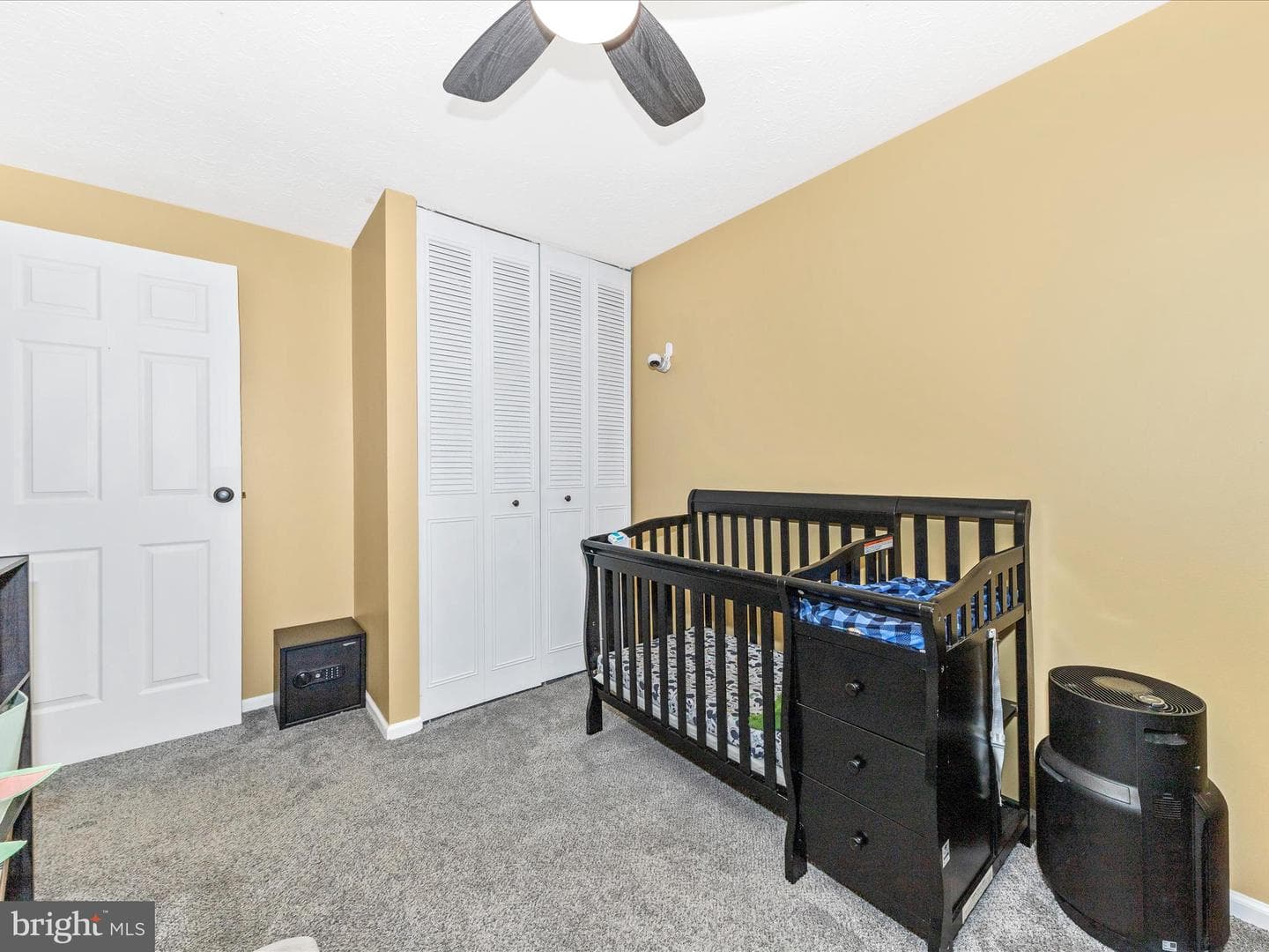 520 Riggs Court photo 26