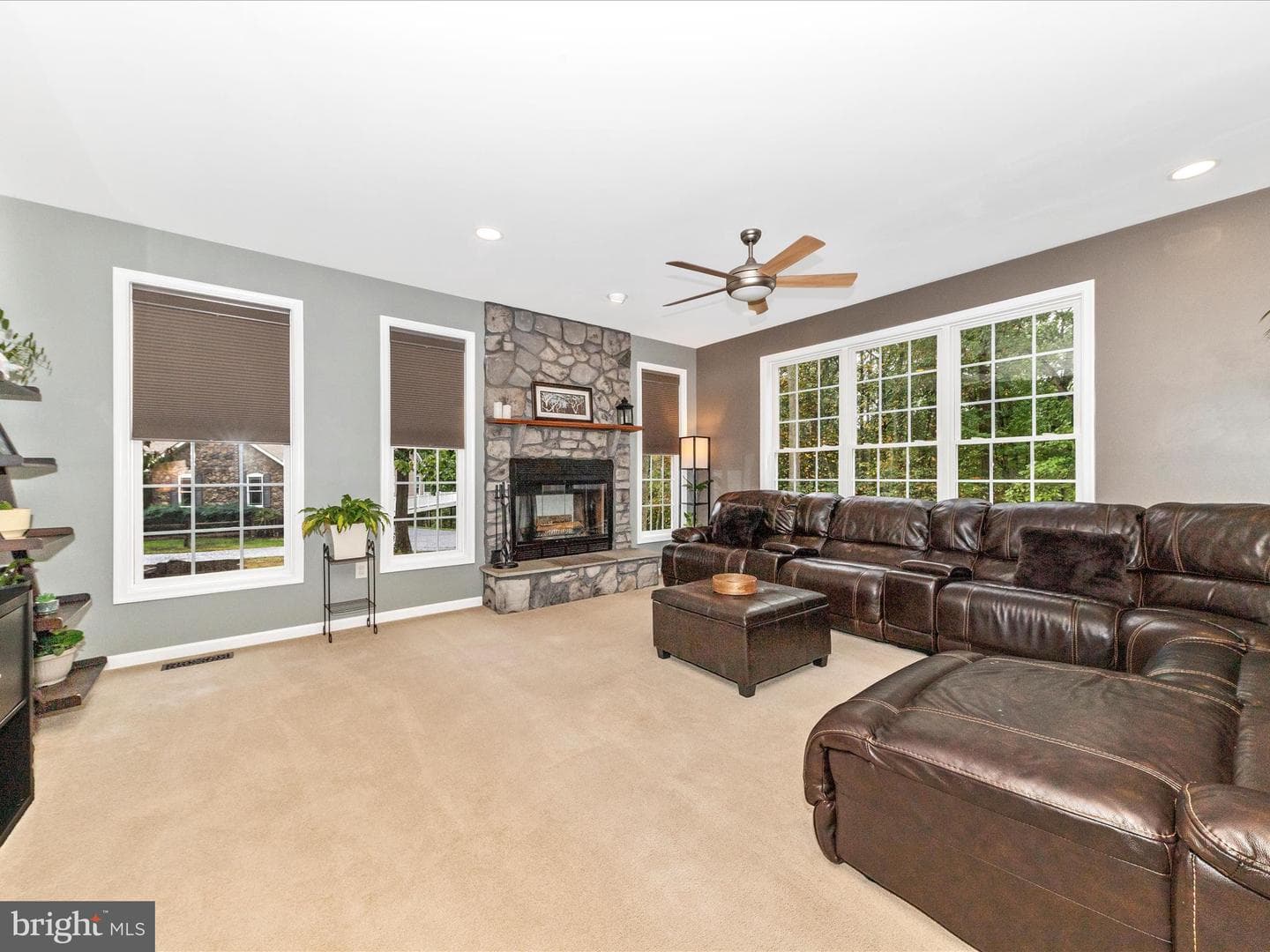 10027 Pine Tree Road photo 5