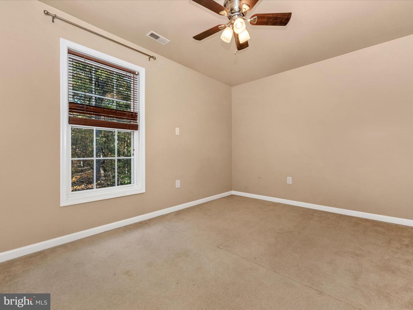 10027 Pine Tree Road photo 51