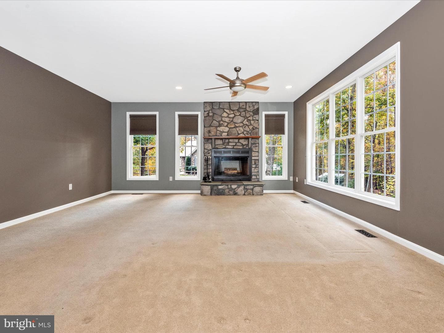 10027 Pine Tree Road photo 6