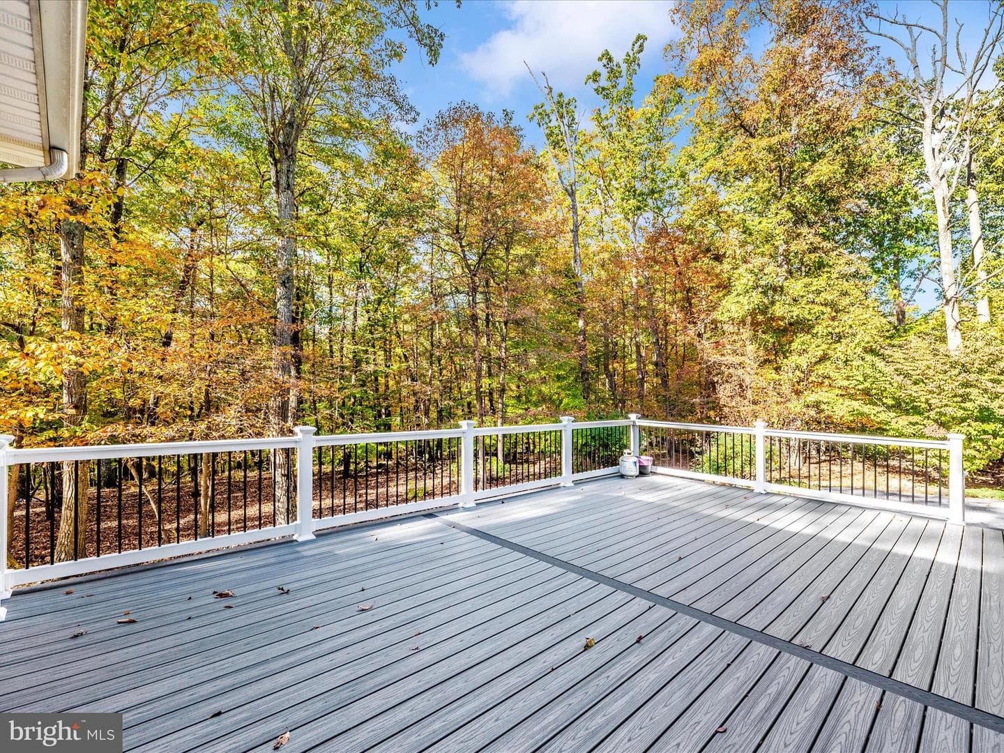 10027 Pine Tree Road photo 71