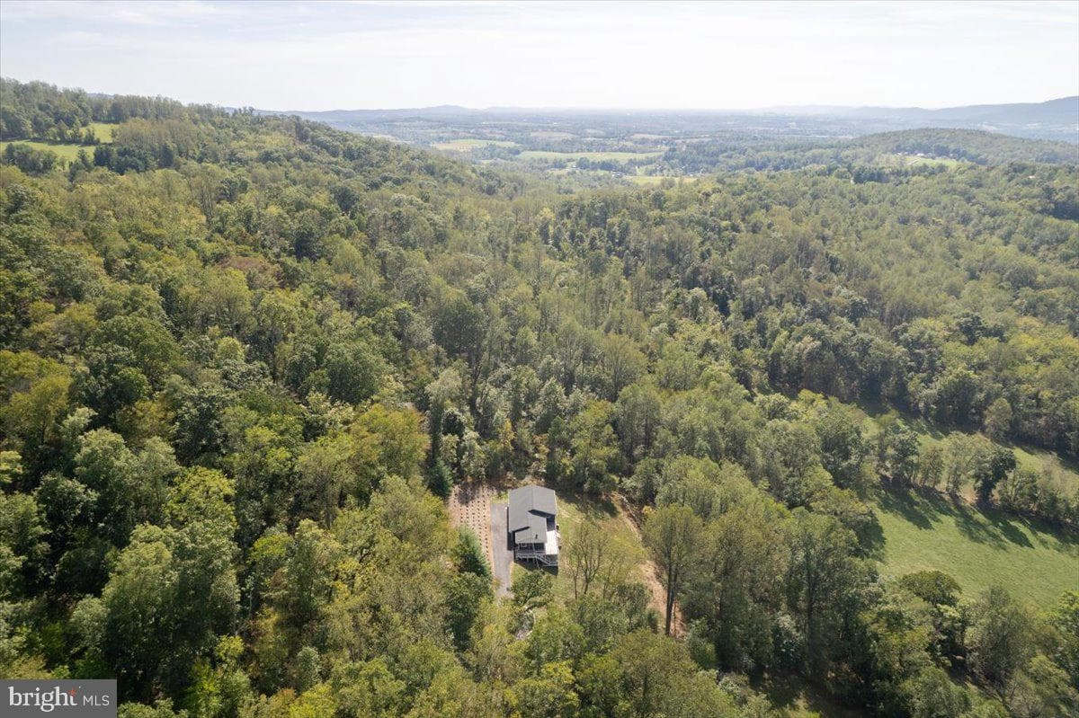 4117 Crow Rock Road photo 87