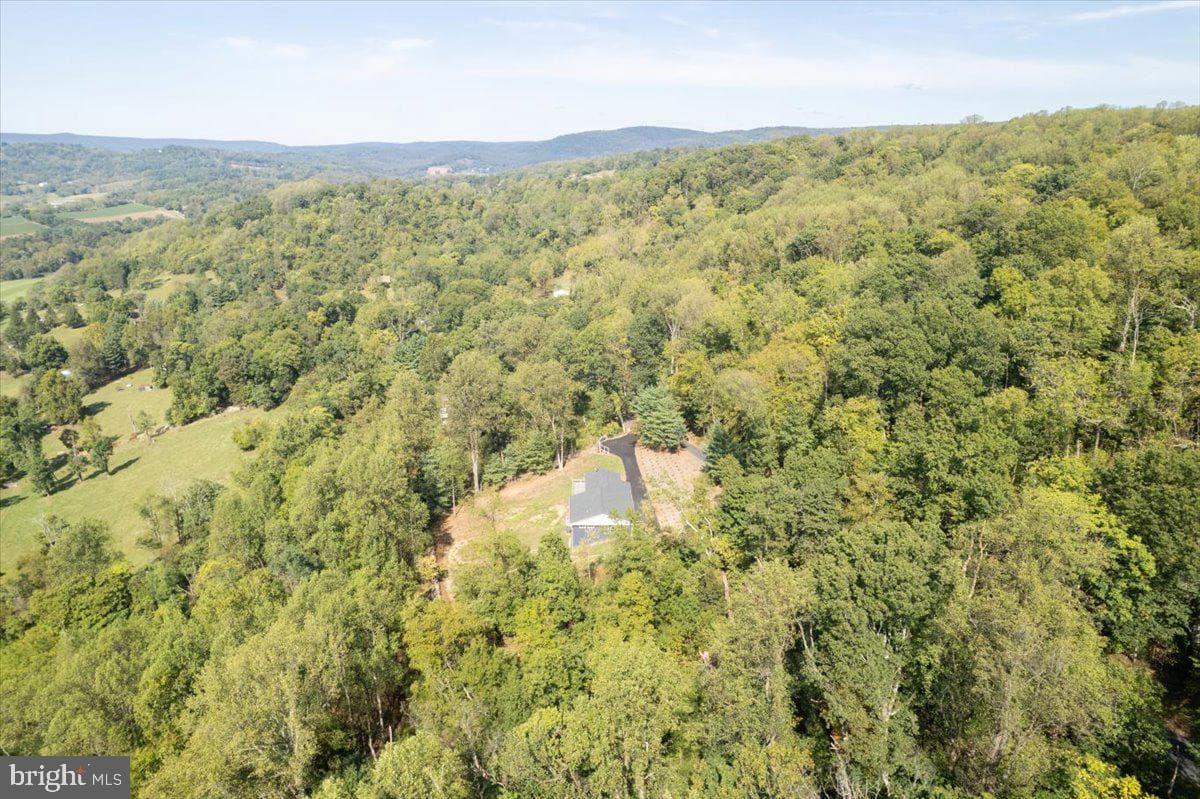 4117 Crow Rock Road photo 91
