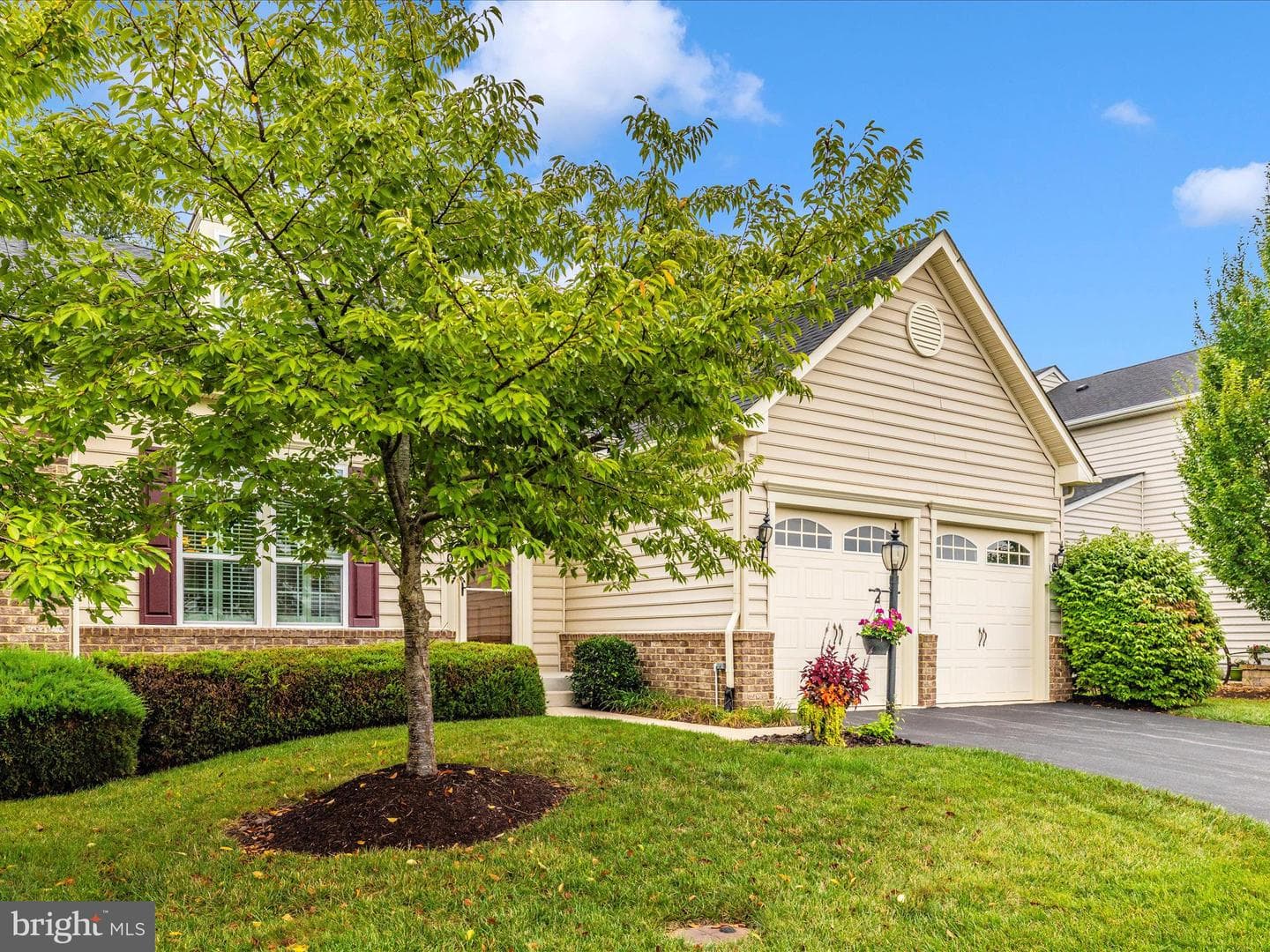 5909 Constance Way photo 45