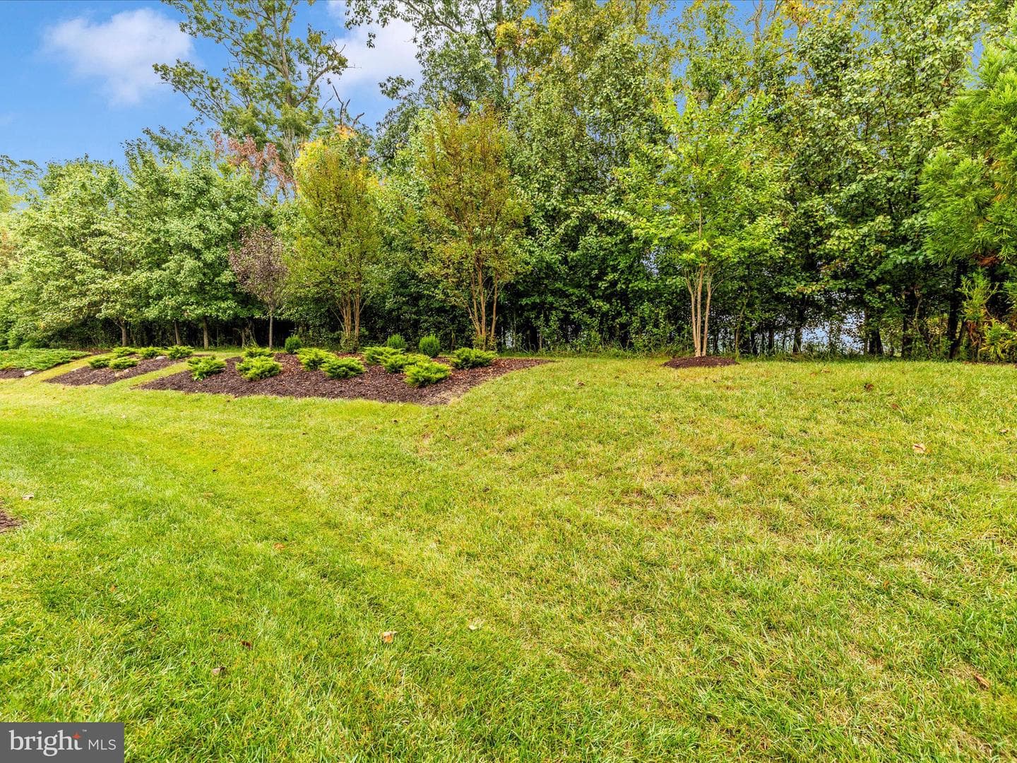5909 Constance Way photo 49