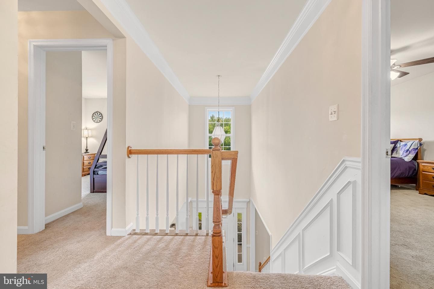 12 Evan Court photo 20