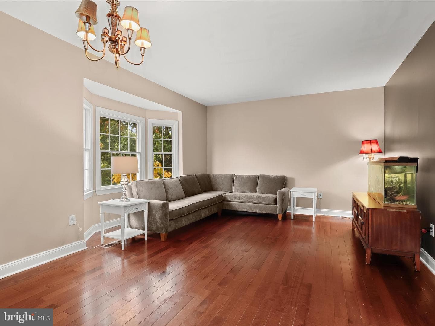 9 Todd Court photo 23