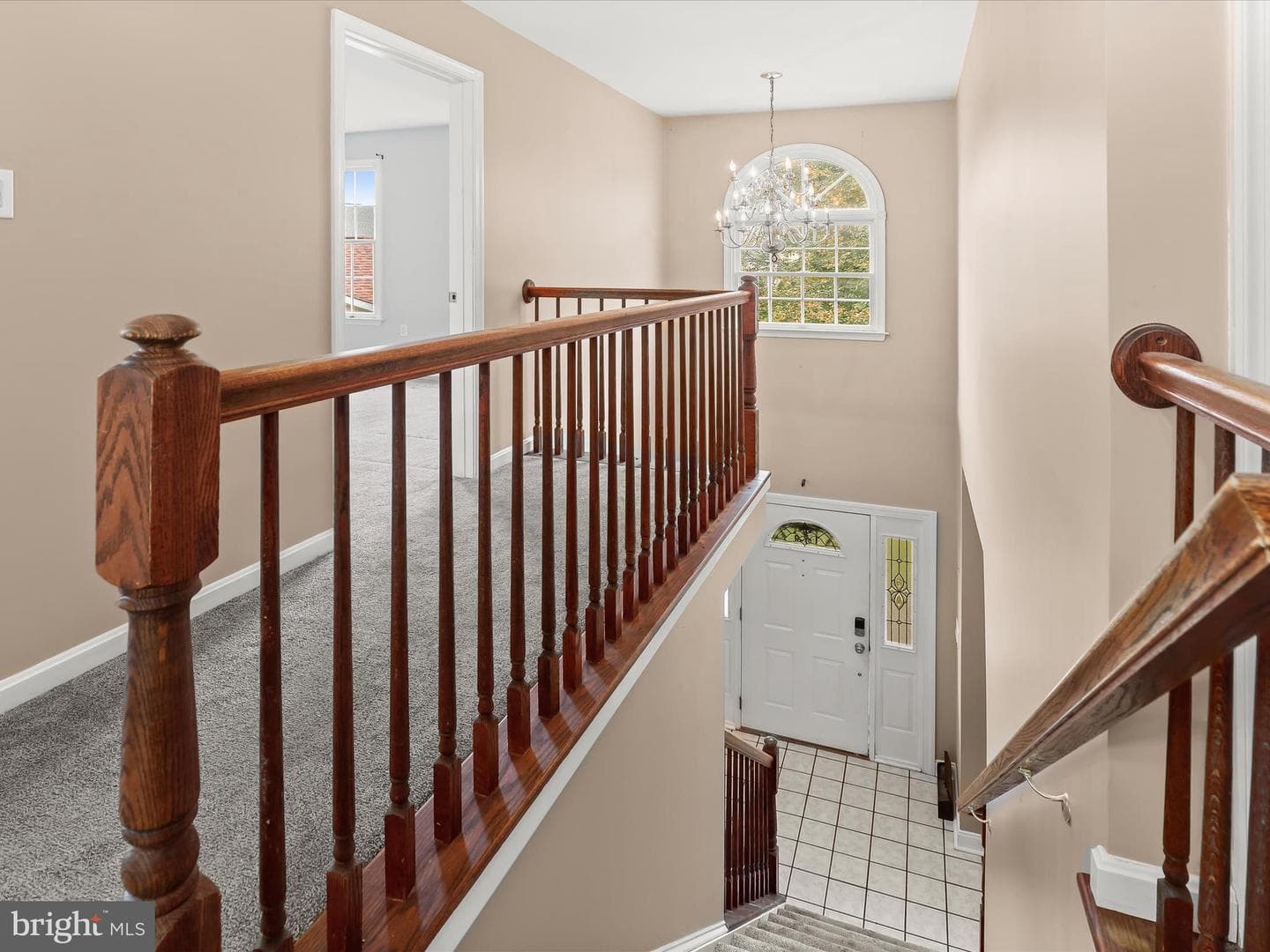 9 Todd Court photo 29