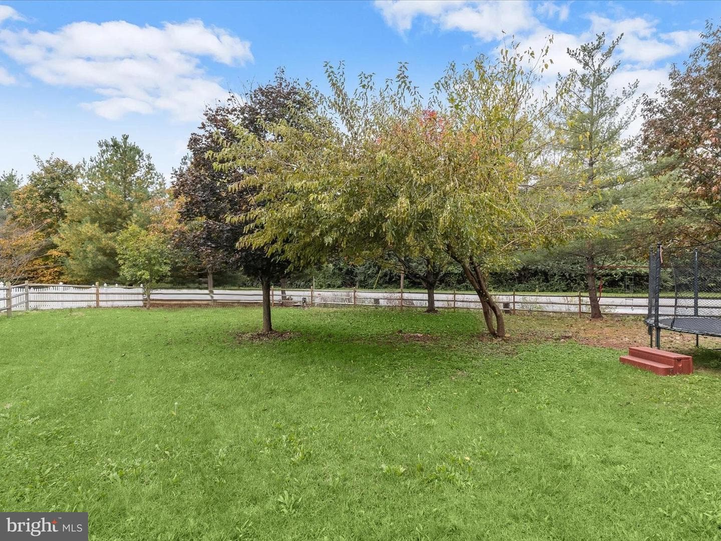 9 Todd Court photo 47