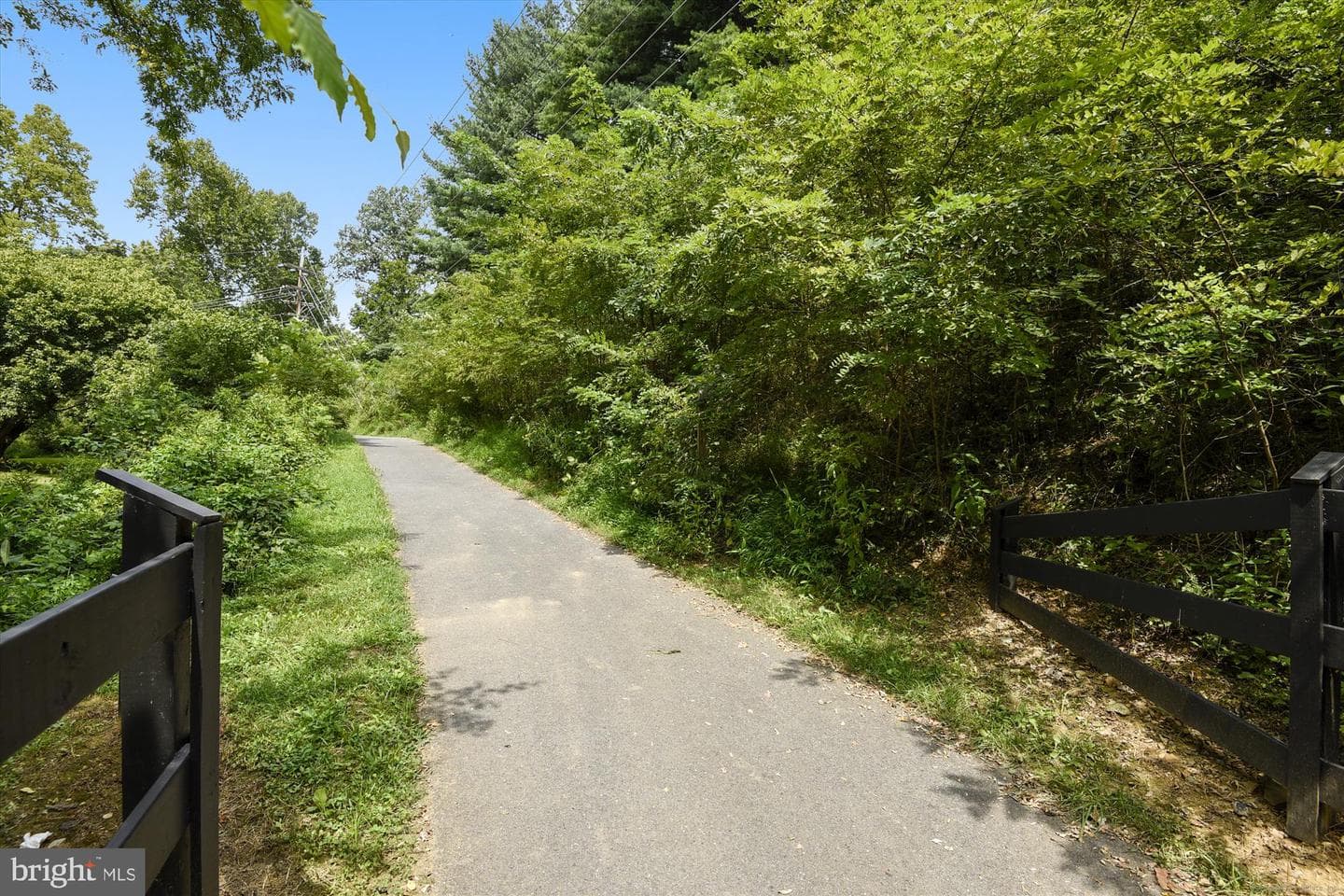 1149 Rosemont Drive photo 71