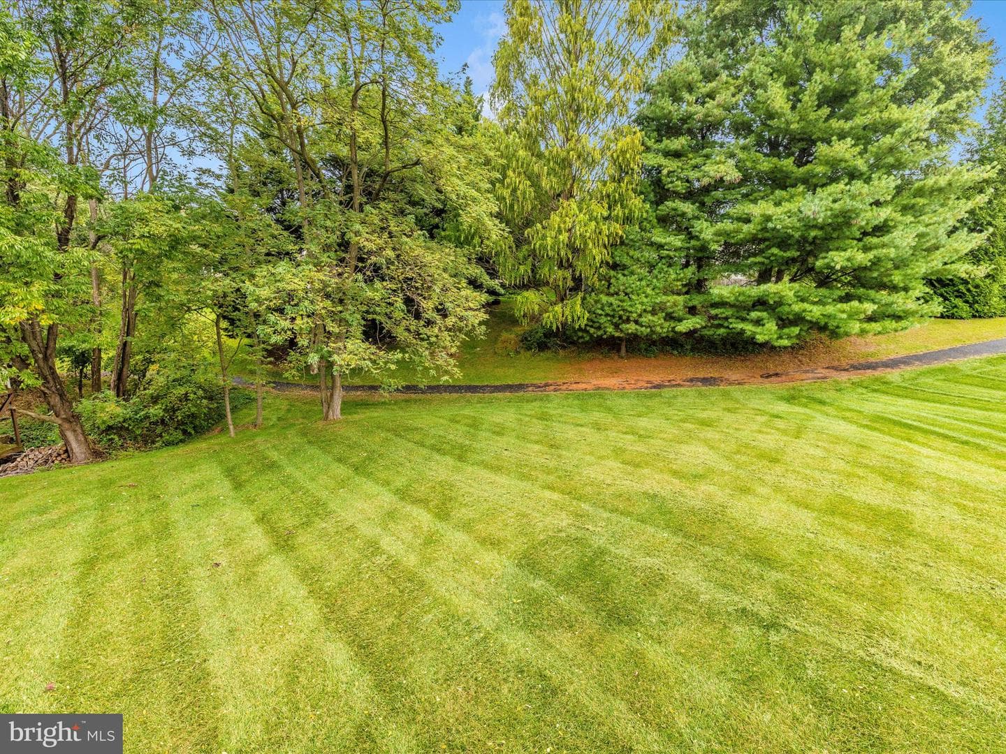 6115 Huckleberry Way photo 48
