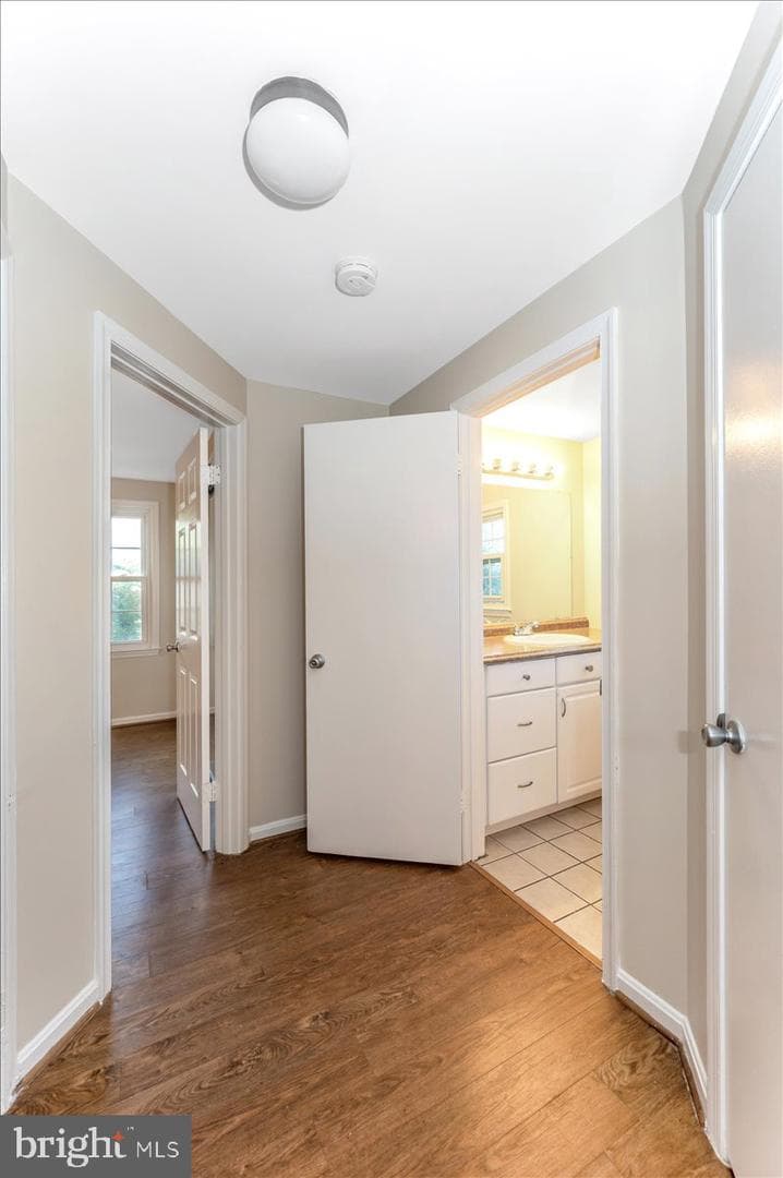 10742 Lake Edge Court photo 26